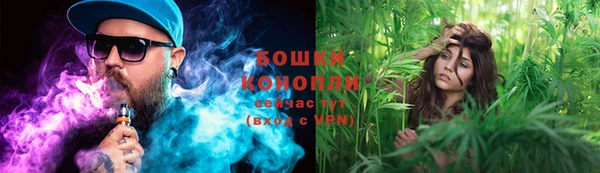 PSILOCYBIN Елизово