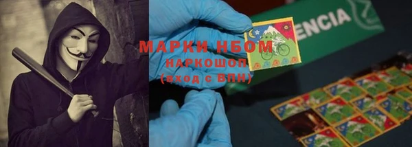 PSILOCYBIN Елизово