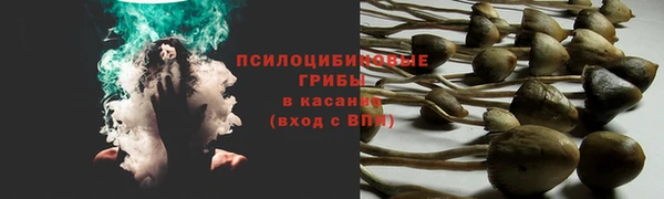 каннабис Ельня