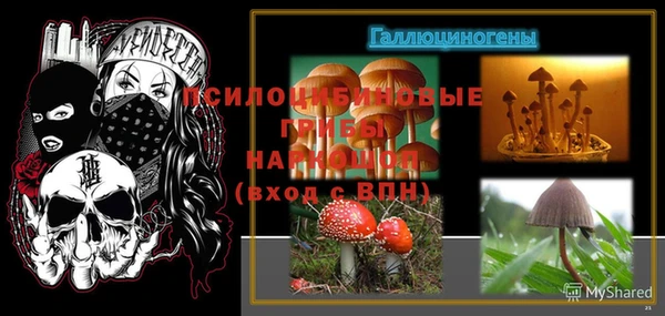 apvp Елабуга